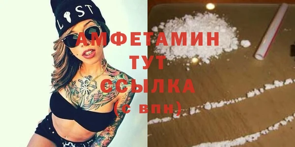дживик Верхний Тагил