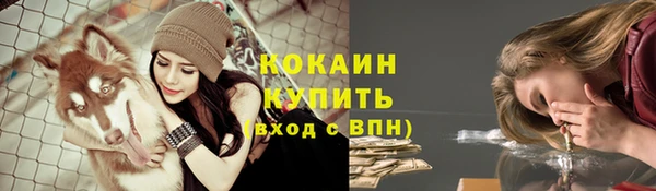 дживик Верхний Тагил
