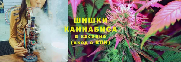 дживик Верхний Тагил