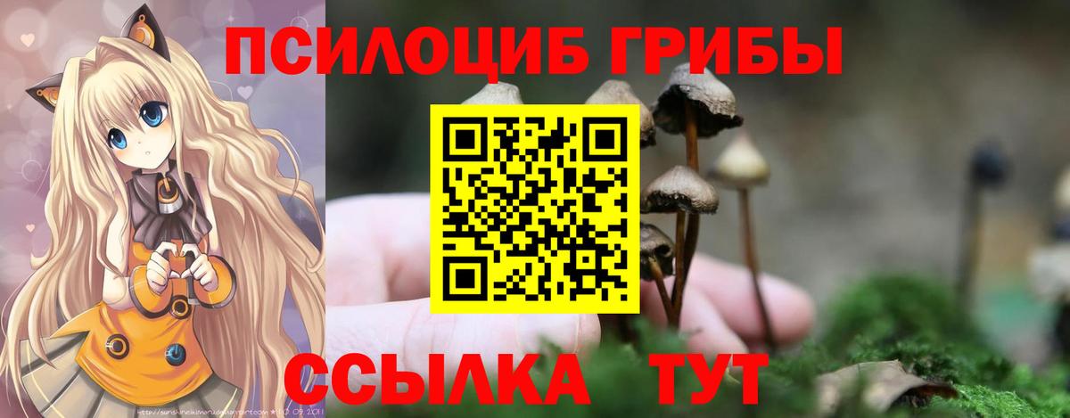где купить наркоту  Вход с VPN  Великие Луки  Псилоцибиновые грибы ЛСД 