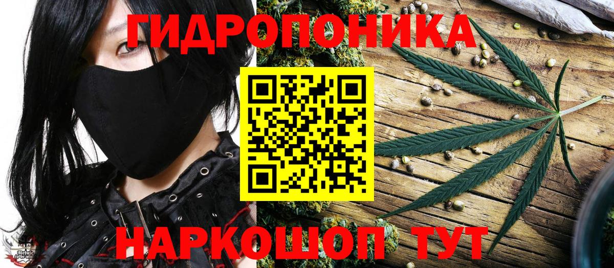 Конопля Ganja  Бошки Шишки Ganja  Канабис тримм  Великие Луки  Вход с VPN  Марихуана ГИДРОПОН 